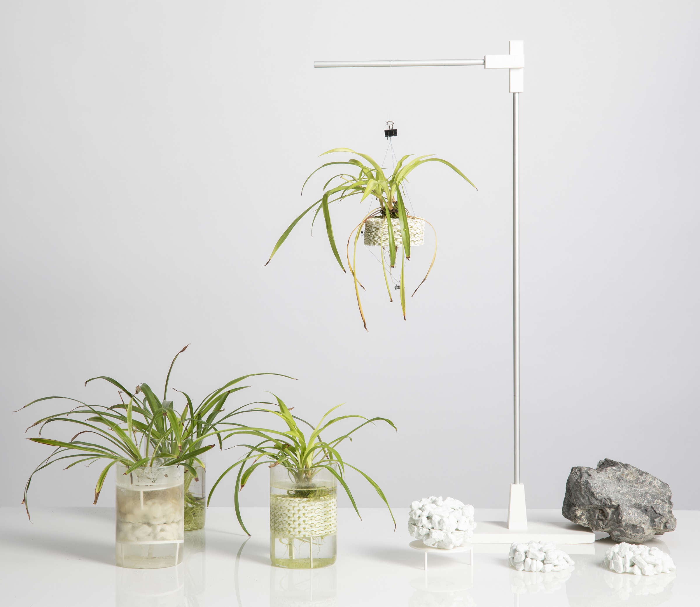 Root Joint setup