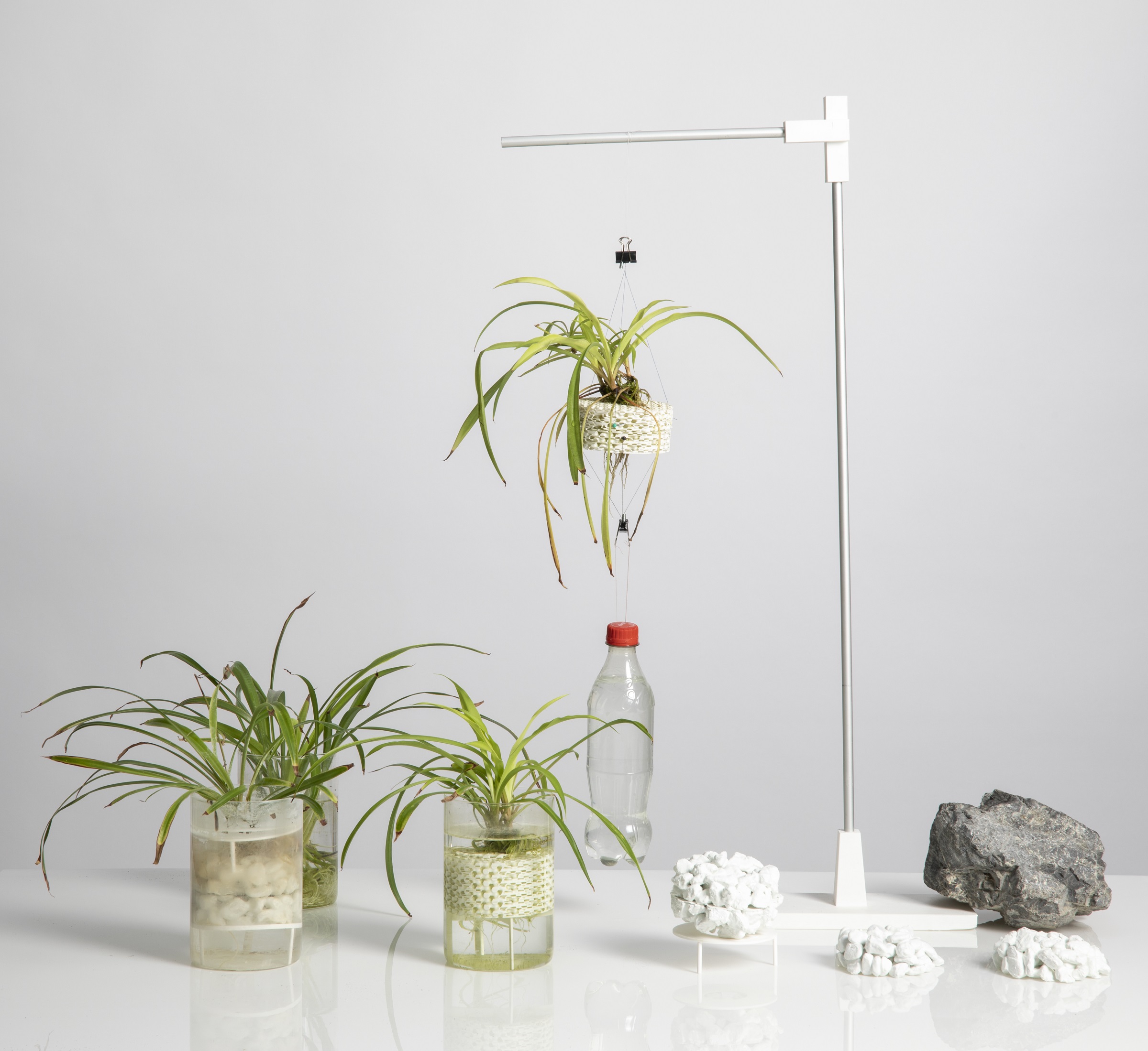 Root Joint setup